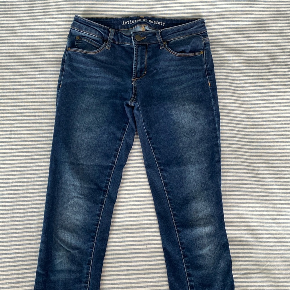 Articles of Society Skinny Jeans